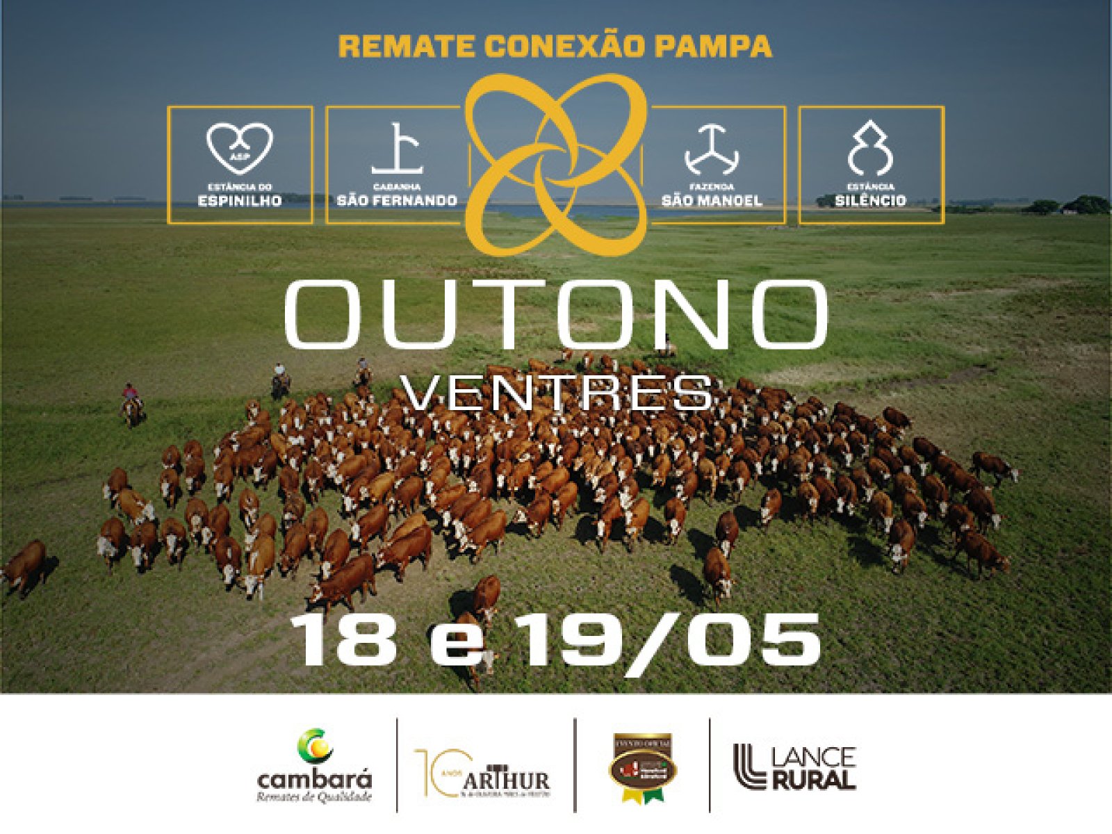 Foto (1103-0208-5-640x480-cpoutono18-190526-femeas.jpg.jpeg)