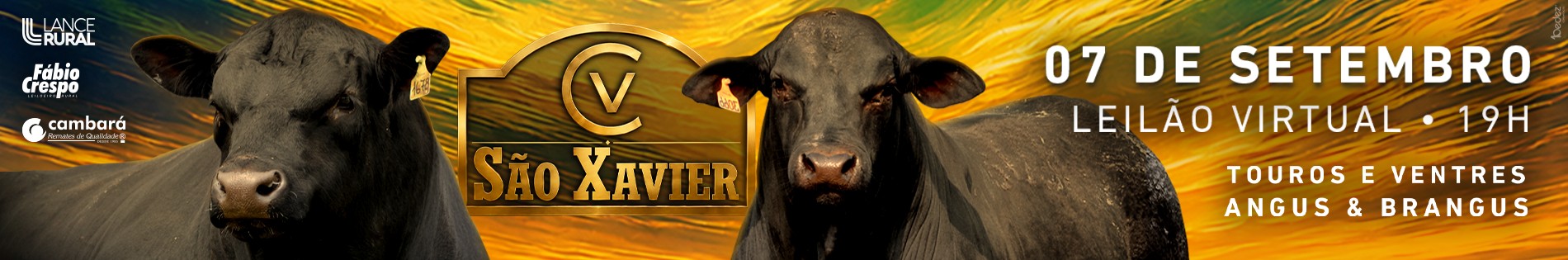 sao xavier 2026