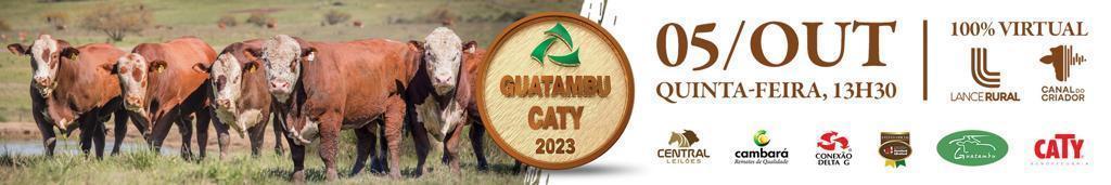 Guatambu 2022