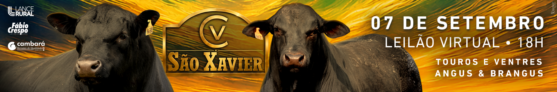 sao xavier 2026