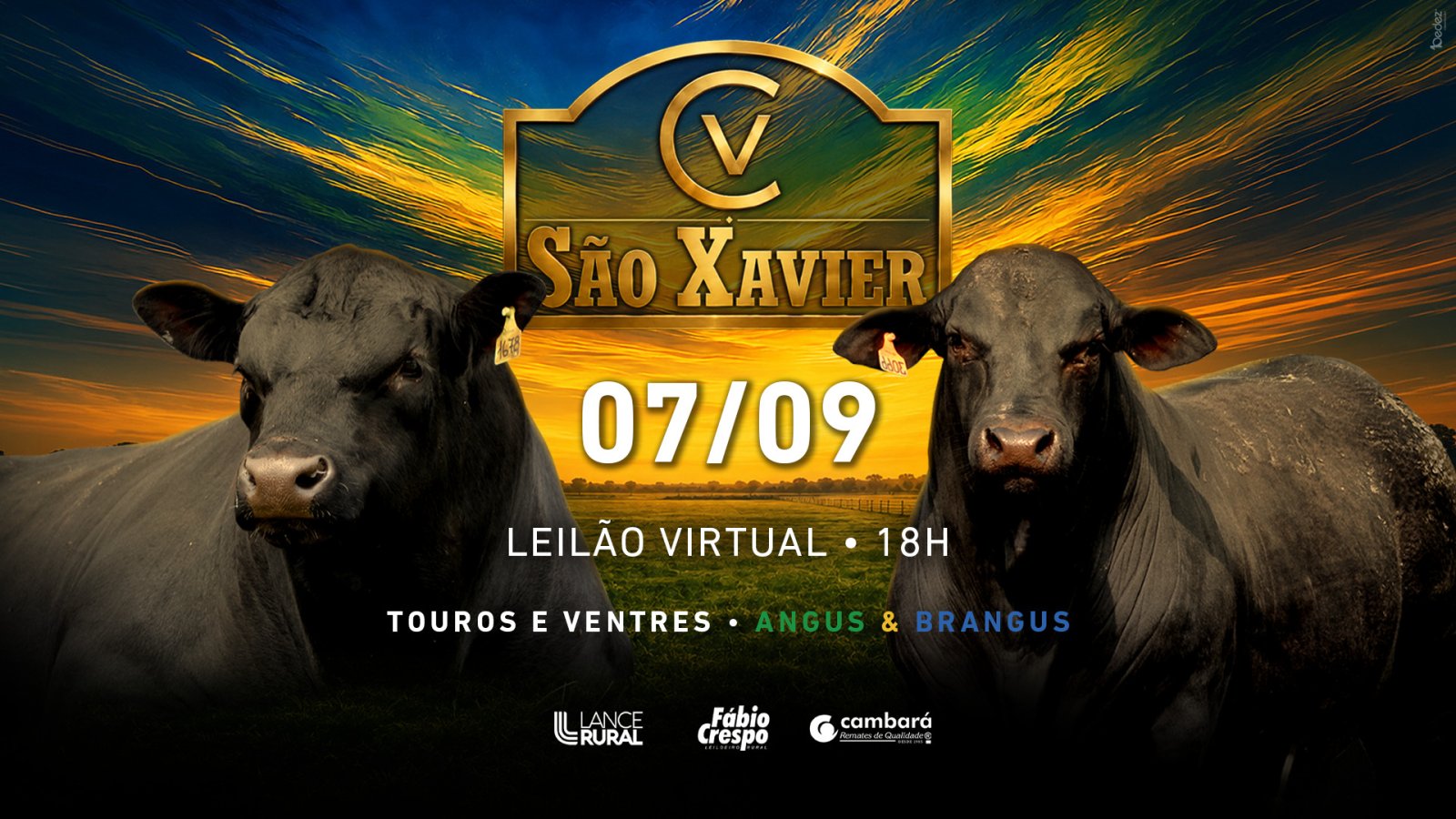 Foto (2408-0410-1-leilao-sao-xavier-youtube-(1).jpg)