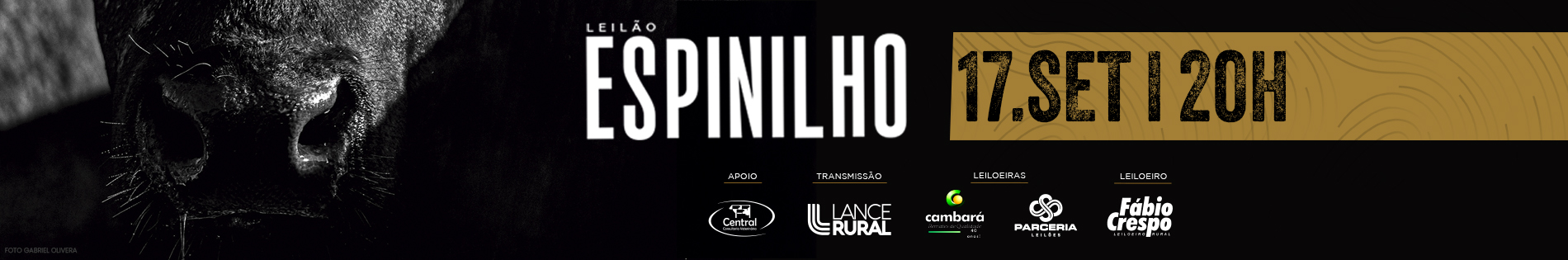 espinilho
