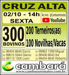 Gado Geral - Cruz Alta - RS