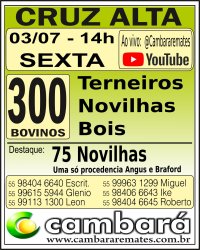 Gado Geral - Cruz Alta - RS