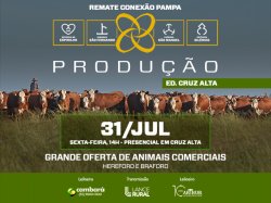 Conex�o Pampa - Leil�o de Produ��o