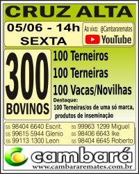 Gado Geral - Cruz Alta - RS