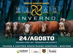 Conex�o Pampa Inverno