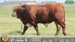 lote 27