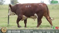 lote 32