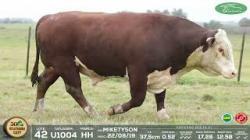 lote 42