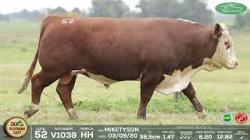 lote 52