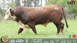 lote 68