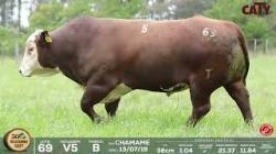 lote 69
