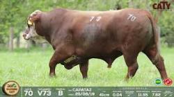 lote 70 v73