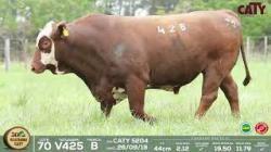 lote 70 v425