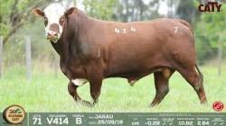 lote 71 v414