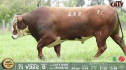 lote 71 v322