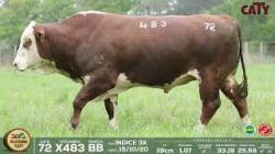 lote 72 x483