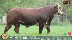 lote 74 x115