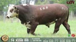 lote 74 x158