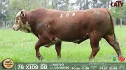 lote 76 x109
