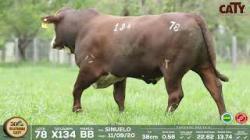 lote 78 x134