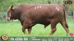 lote 79 x295