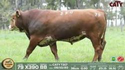 lote 79 x390