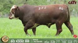 lote 80 x332