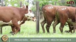 lote 129