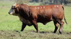 X3032