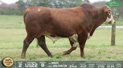 lote 2