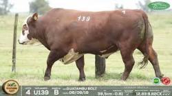 lote 4