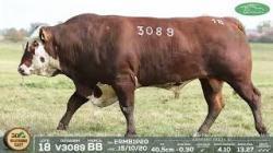lote 18