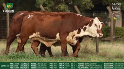 J129 I123 K322