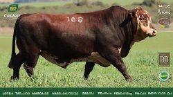 TAT L108
