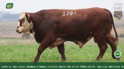 TAT M1201