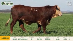 TAT N1112