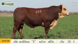 TAT N158