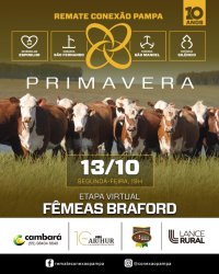 Conexao Pampa Fmeas Braford