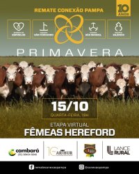 Conexo Pampa Fmeas Hereford