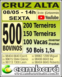 Gado Geral - Cruz Alta - RS