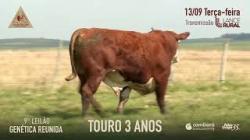 Lote 2