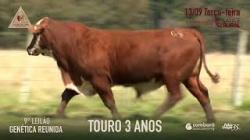 Lote 3