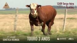 Lote 5