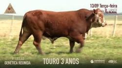 Lote 8