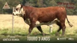 Lote 9