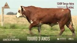 Lote 10