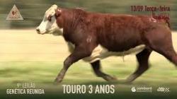Lote 13