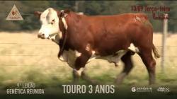 Lote 14